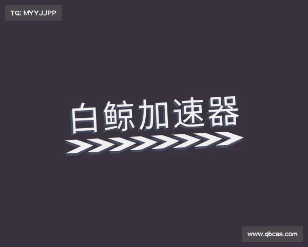 关于白鲸加速器